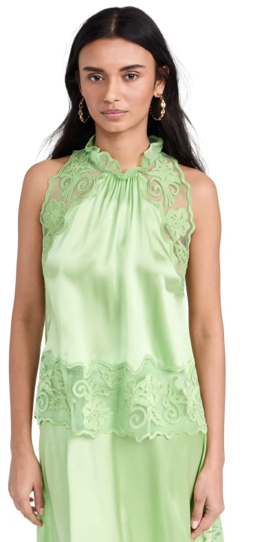 Ulla Johnson Elowen Lace Top In Green