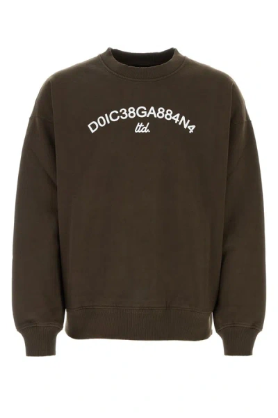 Dolce & Gabbana Logo Printed Crewneck Sweatshirt In Brown