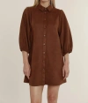 DOLCE CABO FAUX SUEDE DRESS IN BROWN
