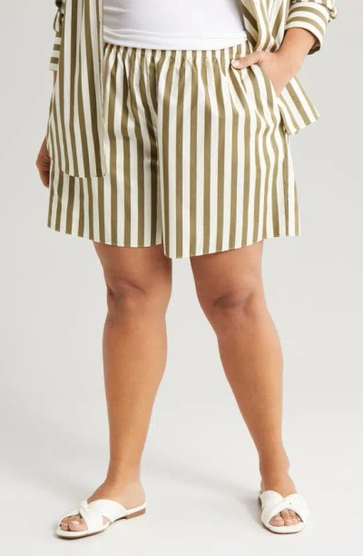 Nordstrom Stripe Pull-on Cotton Shorts In Olive Burnt Cabana Stripe