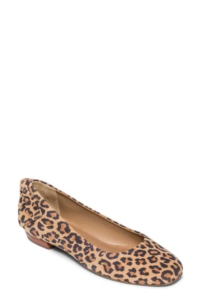 Bernardo Footwear Eloisa Flat In Sand Cheetah