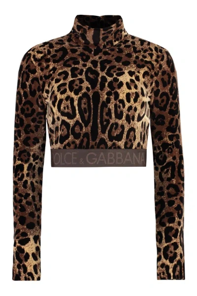 Dolce & Gabbana Long Sleeve Crop Top In Animalier