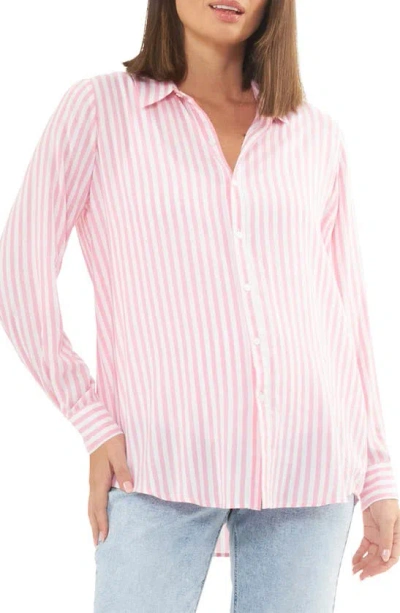Ripe Maternity Emmy St Button-up Shirt In Bubble Gum / White