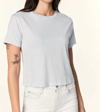 Amo Babe Tee In Blue Poppy