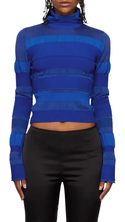 Acne Studios Ribbed High Neck Top In Blue