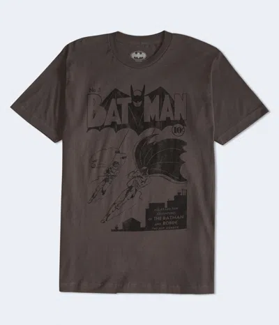 Aéropostale Adventures Of Batman & Robin Graphic Tee In Multi