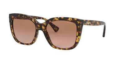 Ralph Lauren Sunglasses In Shiny Sponged Havana