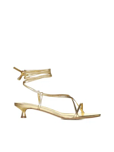 Aeyde Sandals In Golden