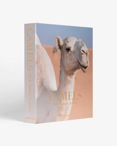 Assouline Camels From Saudi Arabia Book In Neutrals
