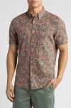 Faherty Breeze Short Sleeve Button-down Shirt In Rose Turquoise Blossom