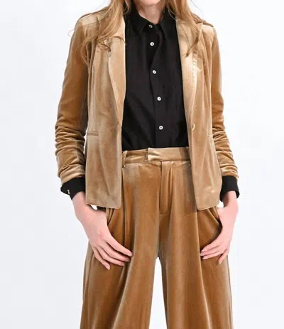 Molly Bracken Velvet Blazer In Gold