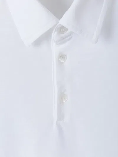 Zanone Plain Cotton Polo In White