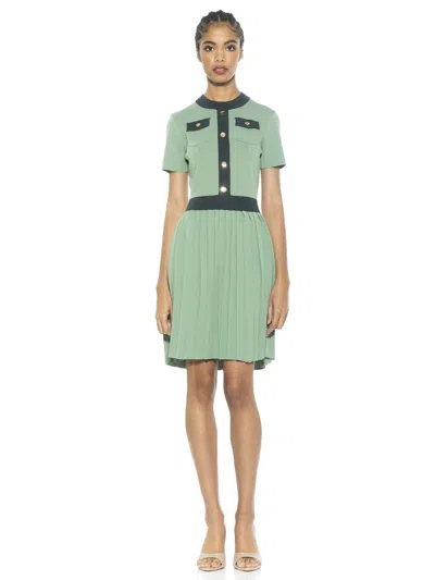 Alexia Admor Ander Dress In Multi