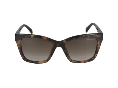 Blumarine Sunglasses In Havana Marron Glossy