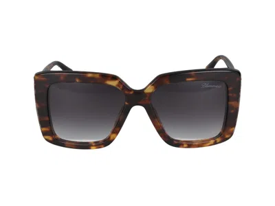 Blumarine Sunglasses In Havana Brown/yellow Glossy