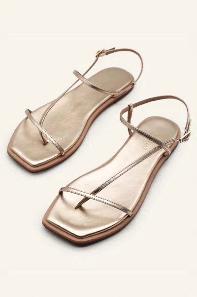 Kaanas Alayta Square Toe Naked Sandals In Gold