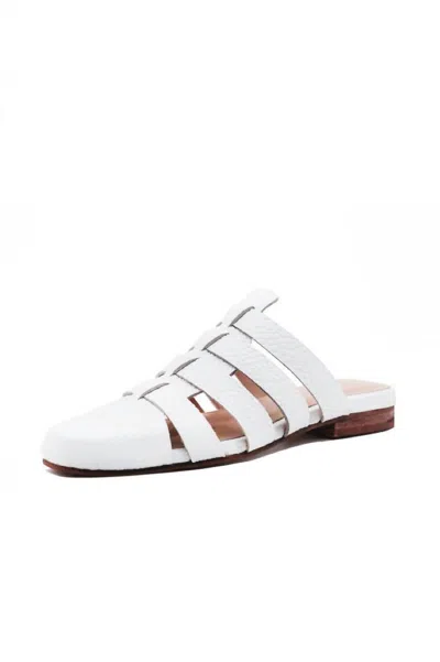 Kaanas Women's Antilles Gladiator Mule In White