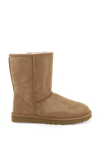Ugg Classic Short Boots In Brown