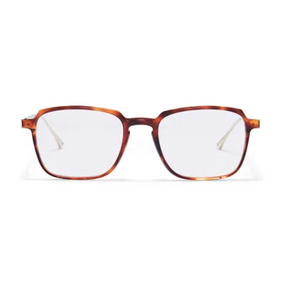 Taylor Morris Eyewear Sw3 C7 Glasses In Brown