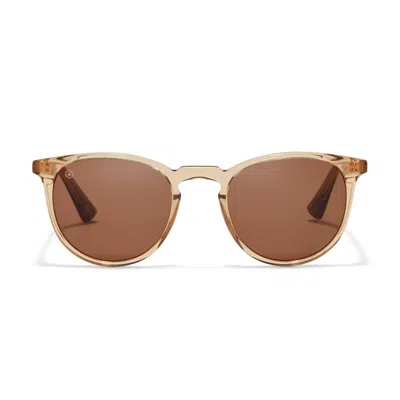 Taylor Morris Eyewear George Arthur Sunglasses In Brown