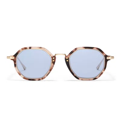 Taylor Morris Eyewear Westbourne Sunglasses In Brown