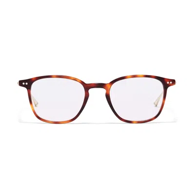 Taylor Morris Eyewear W9 C2 Glasses In Brown