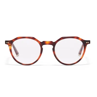 Taylor Morris Eyewear W6 C3 Glasses In Brown