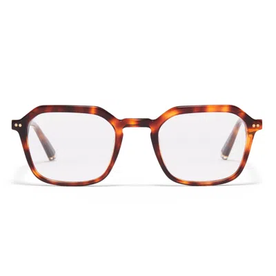 Taylor Morris Eyewear W5 C3 Glasses In Brown