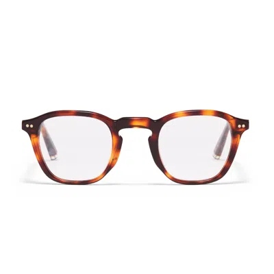 Taylor Morris Eyewear W4 C2 Glasses In Brown