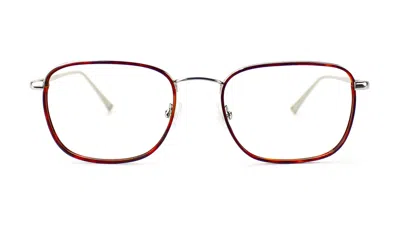 Taylor Morris Eyewear Sw8 C1 Glasses In Multi