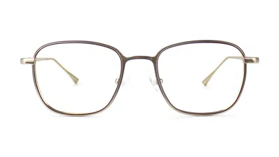 Taylor Morris Eyewear Sw7 C3 Glasses In Brown