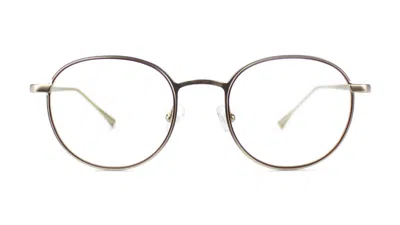 Taylor Morris Eyewear Sw6 C3 Glasses In Brown