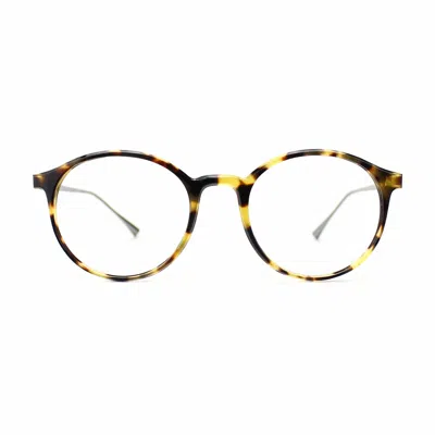 Taylor Morris Eyewear Sw4 C4 Glasses In Multi