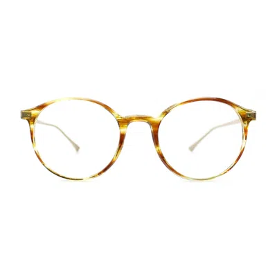 Taylor Morris Eyewear Sw4 C2 Glasses In Gold