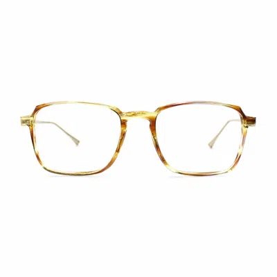 Taylor Morris Eyewear Sw3 C2 Glasses In Brown