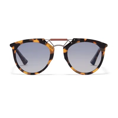 Taylor Morris Eyewear H. F.s. Sunglasses In Brown