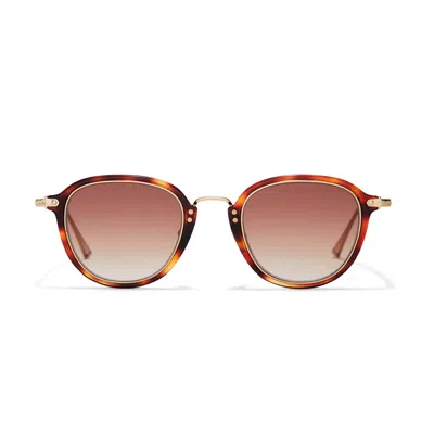Taylor Morris Eyewear Artesian Sunglasses In Brown