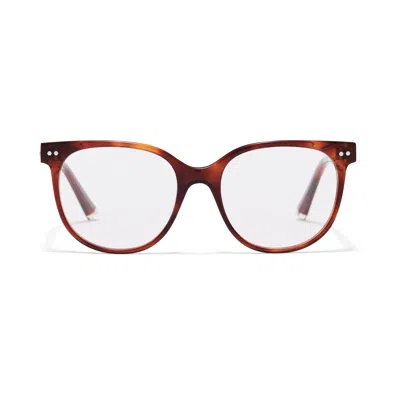 Taylor Morris Eyewear W7 C2 Glasses In Brown