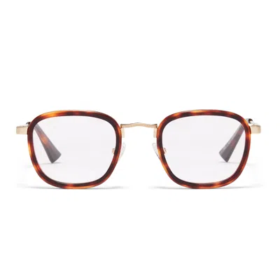 Taylor Morris Eyewear W3 C3 Glasses In Brown