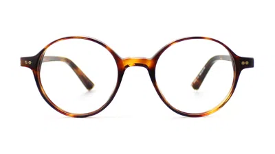 Taylor Morris Eyewear Sw18 C2 Glasses In Brown