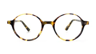 Taylor Morris Eyewear Sw18 C3 Glasses In Brown