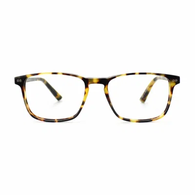 Taylor Morris Eyewear Sw16 C3 Glasses In Yellow