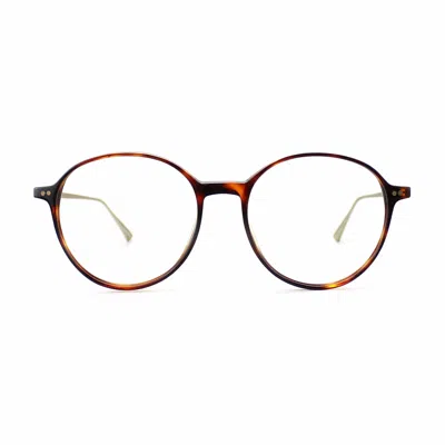 Taylor Morris Eyewear Sw15 C2 Glasses In Brown