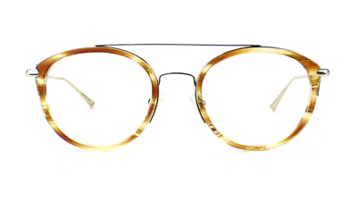 Taylor Morris Eyewear Sw14 C3 Glasses In Brown