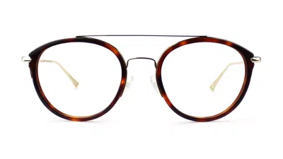 Taylor Morris Eyewear Sw14 C2 Glasses In Brown