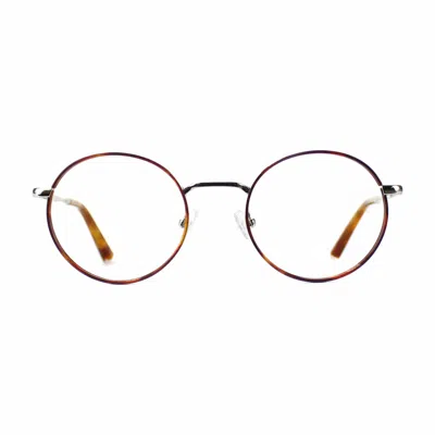 Taylor Morris Eyewear Sw13 C2 Glasses In Brown