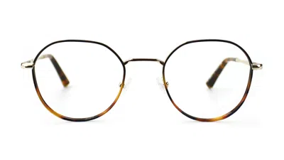 Taylor Morris Eyewear Sw12 C3 Glasses In Brown