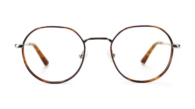 Taylor Morris Eyewear Sw12 C2 Glasses In Brown