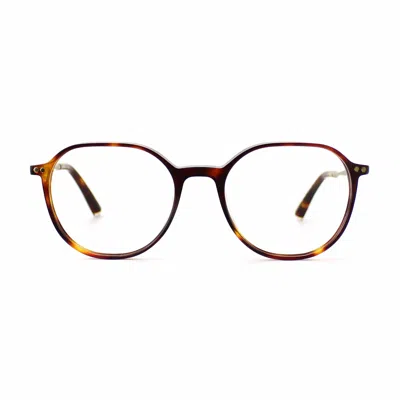 Taylor Morris Eyewear Sw2 C2 Glasses In Brown
