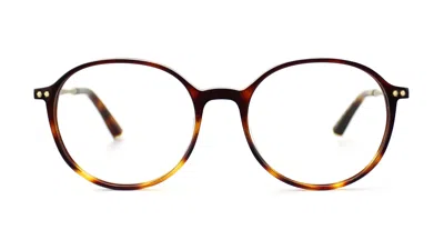 Taylor Morris Eyewear Sw1 C2 Glasses In Brown
